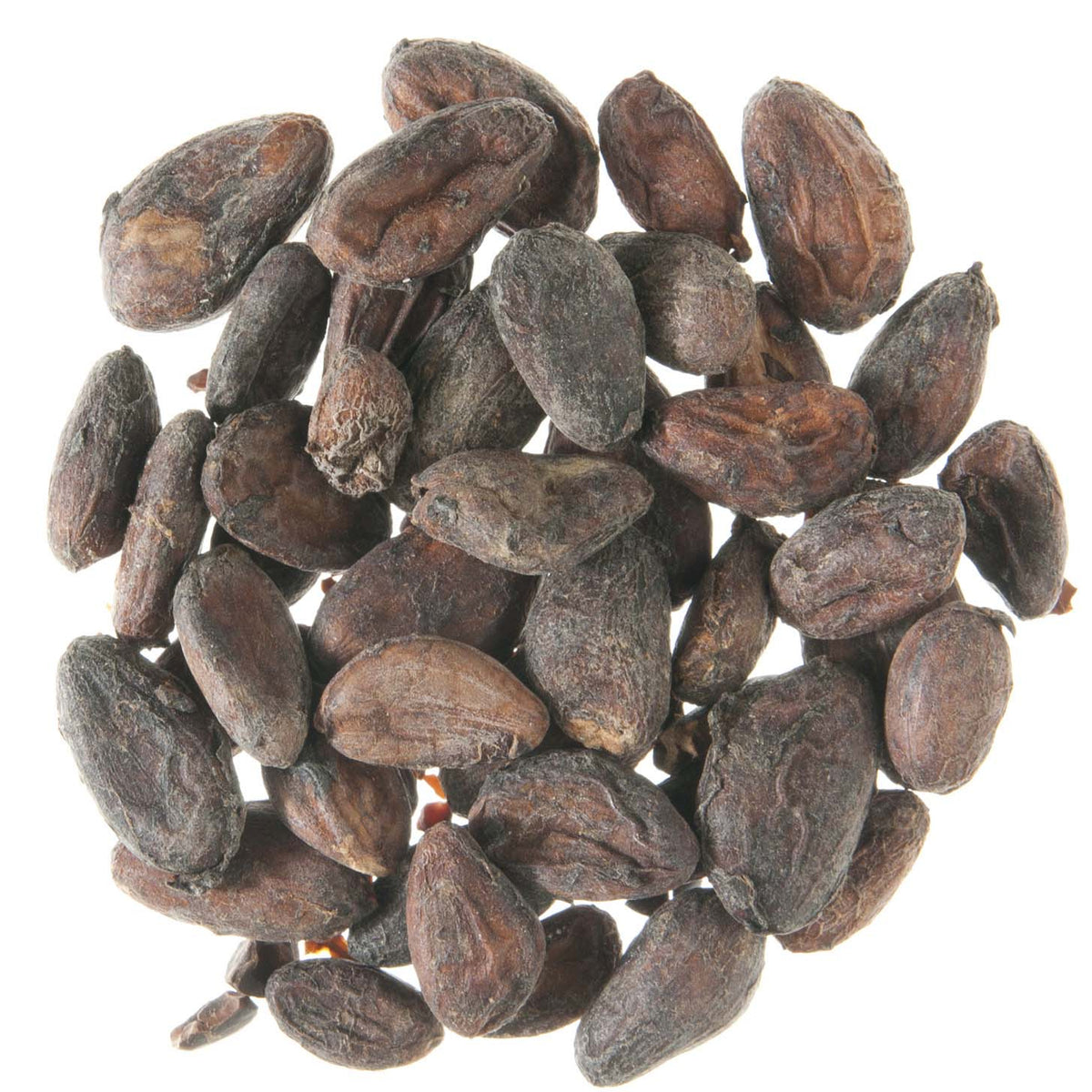 Metropolitan Tea Air Dried Cocoa Beans (Whole) Loose Leaf Herbal Tea 1.1 lbs
