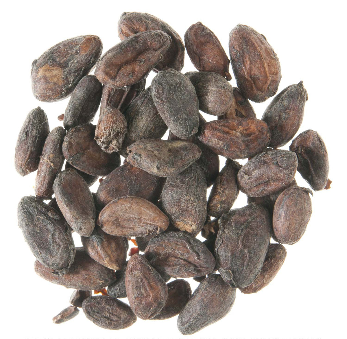 Metropolitan Tea Air Dried Cocoa Beans (Whole) Loose Leaf Herbal Tea 1.1 lbs