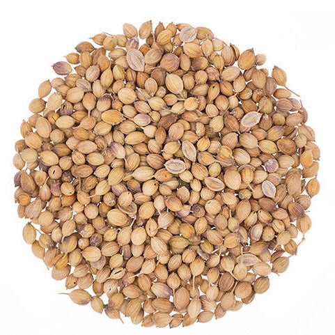 Metropolitan Tea Coriander Seeds (Whole) Loose Leaf Herbal Tea 1.1 lbs