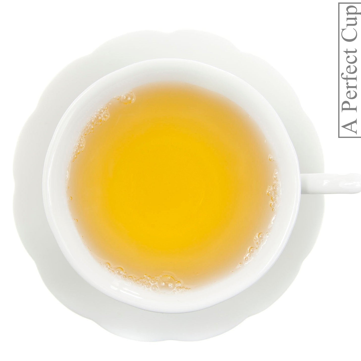 Metropolitan Tea Rooibos - Green Loose Leaf Herbal Tea 1.1 lbs
