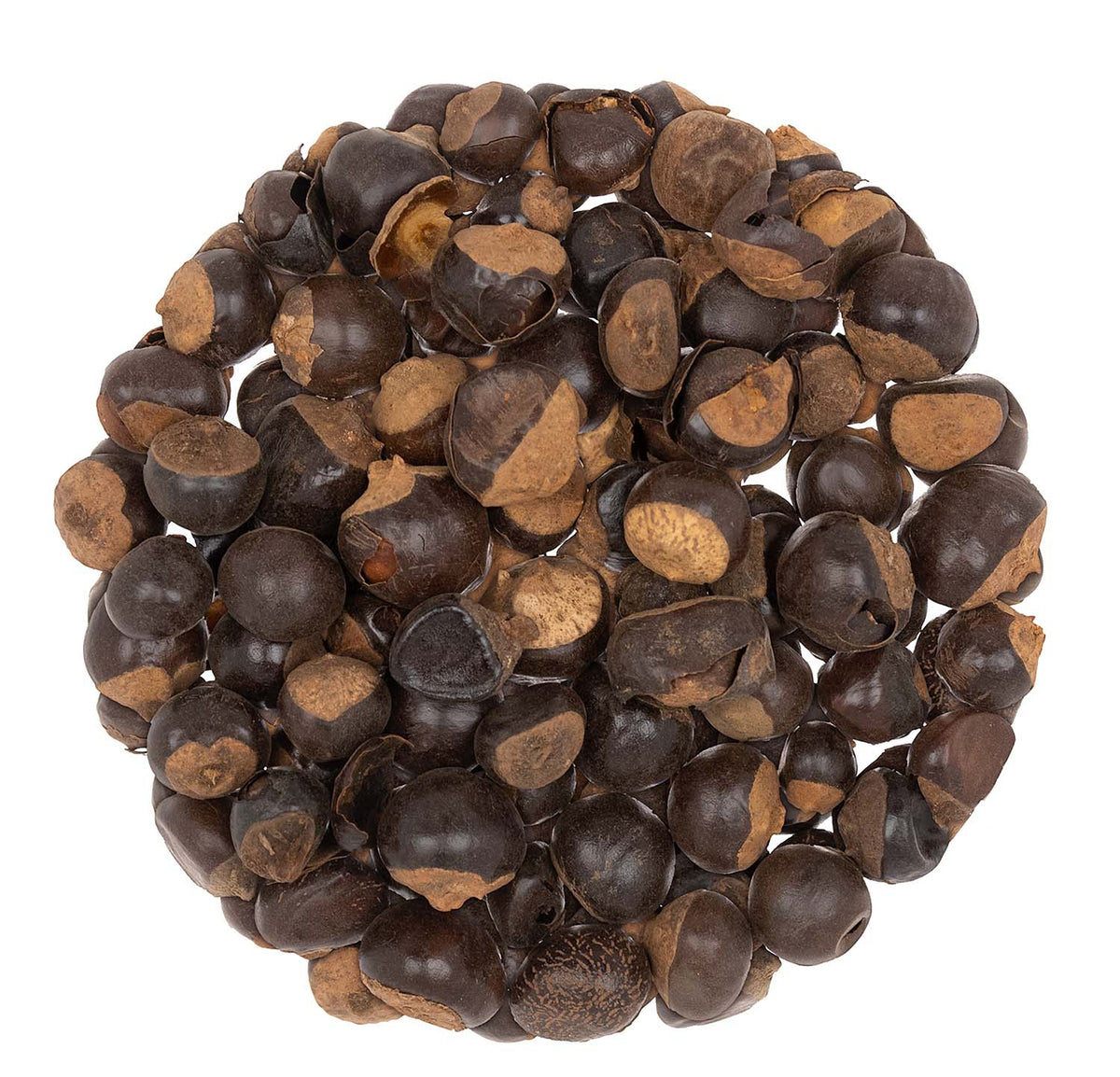 Metropolitan Tea Guarana (Whole) Loose Leaf Herbal Tea 1.1 lbs