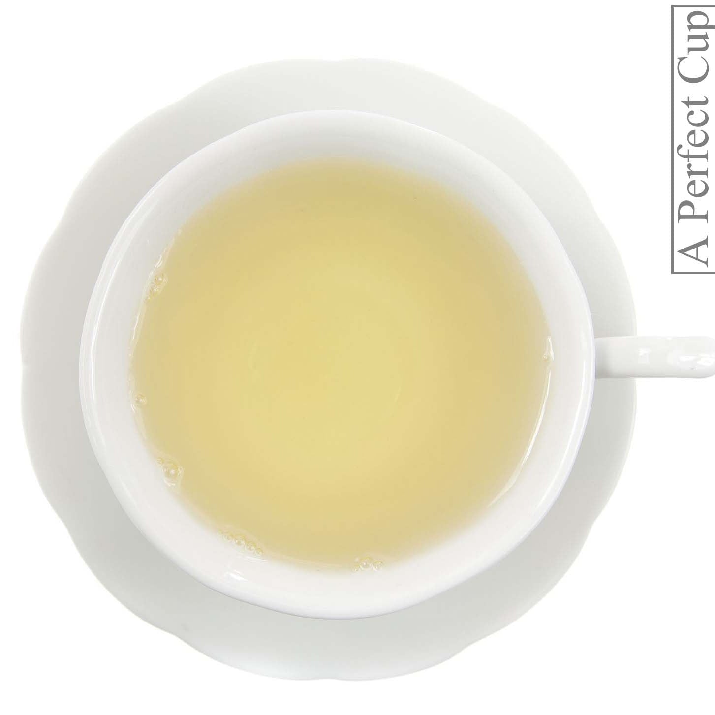 Metropolitan Tea Mate Green Cancheada Loose Leaf Herbal Tea 1.1 lbs