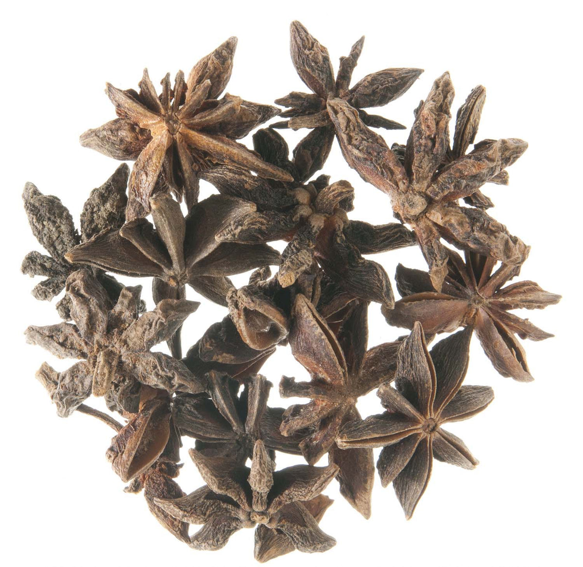 Metropolitan Tea Star Anise (Whole) Loose Herbal Tea 1.1 lbs