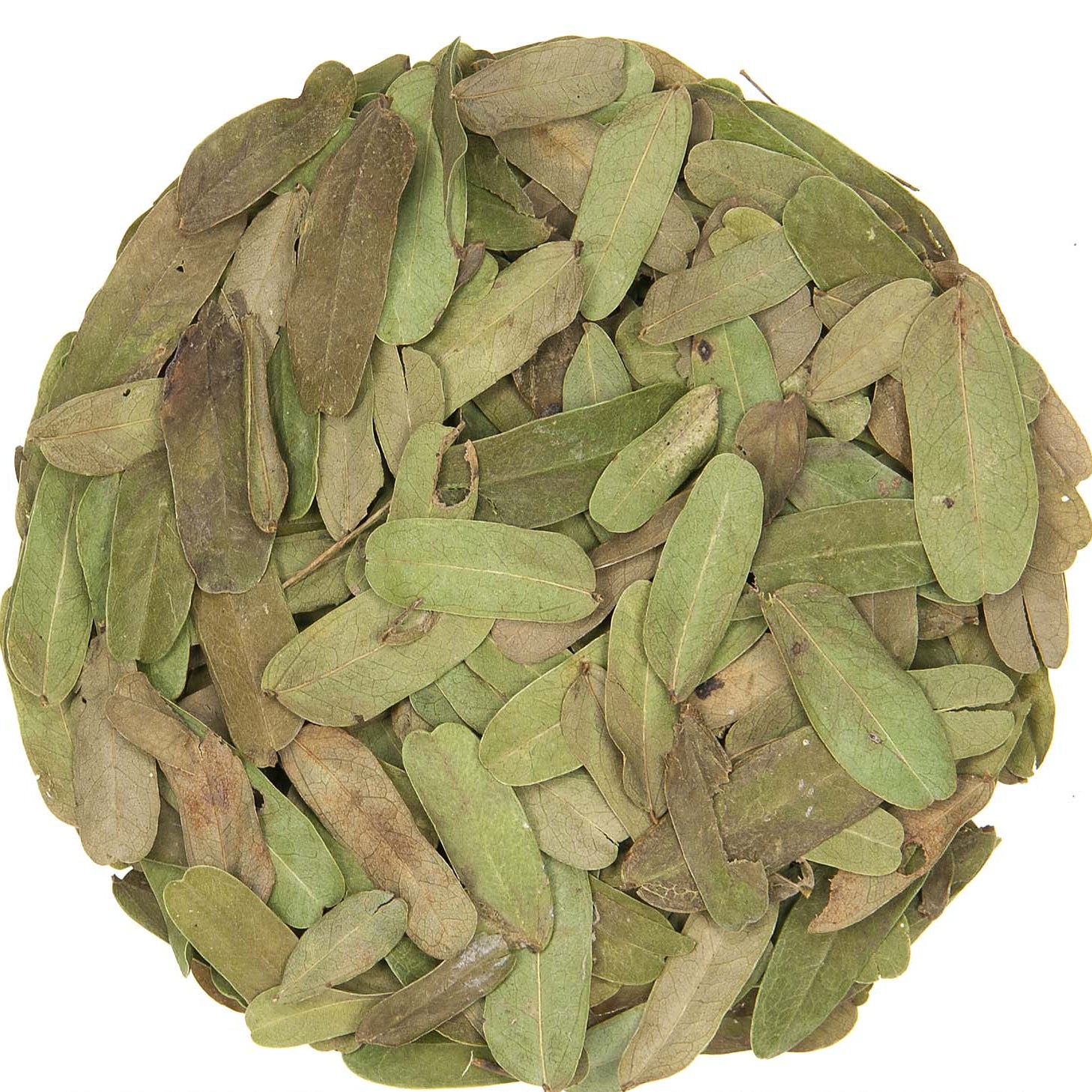 Metropolitan Tea Tamarind Leaves Whole Loose Leaf Herbal Tea 0.55 lbs