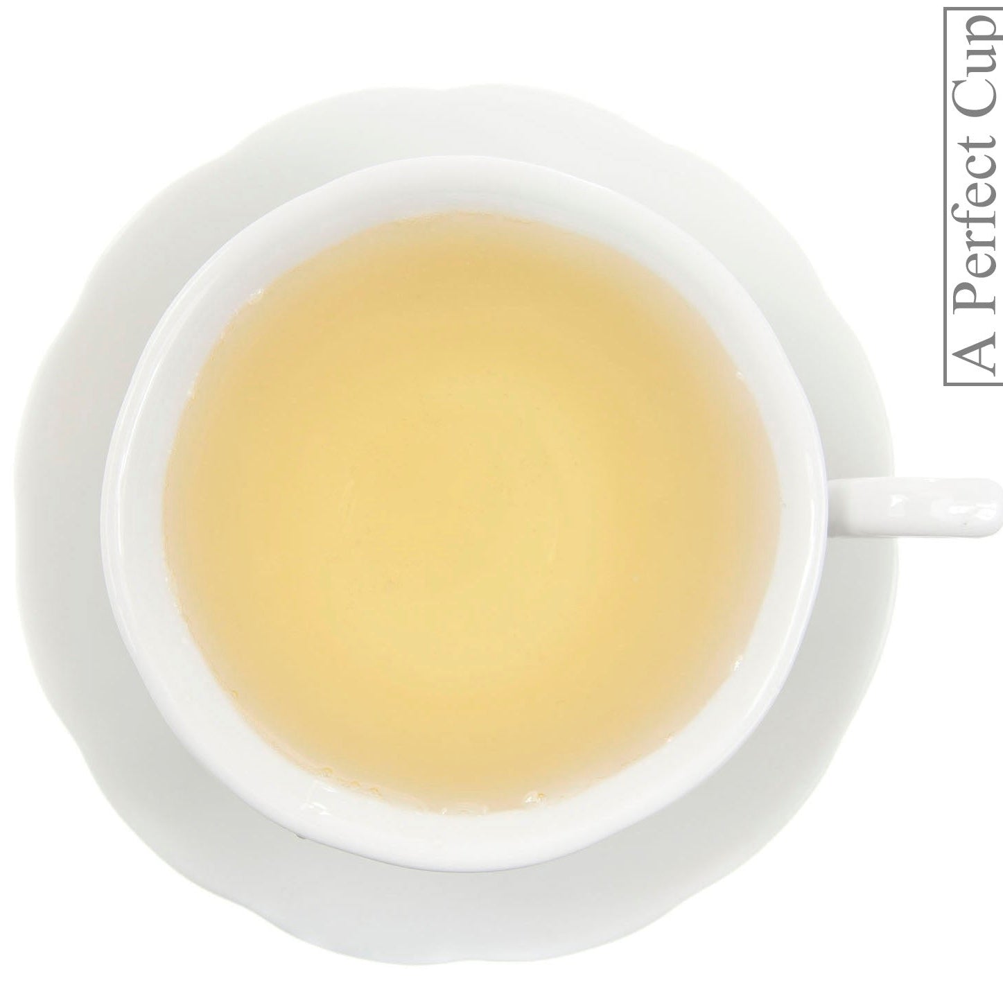 Metropolitan Tea Vanilla Frappe Herb & Fruit Loose Leaf Tea 1.1 lbs