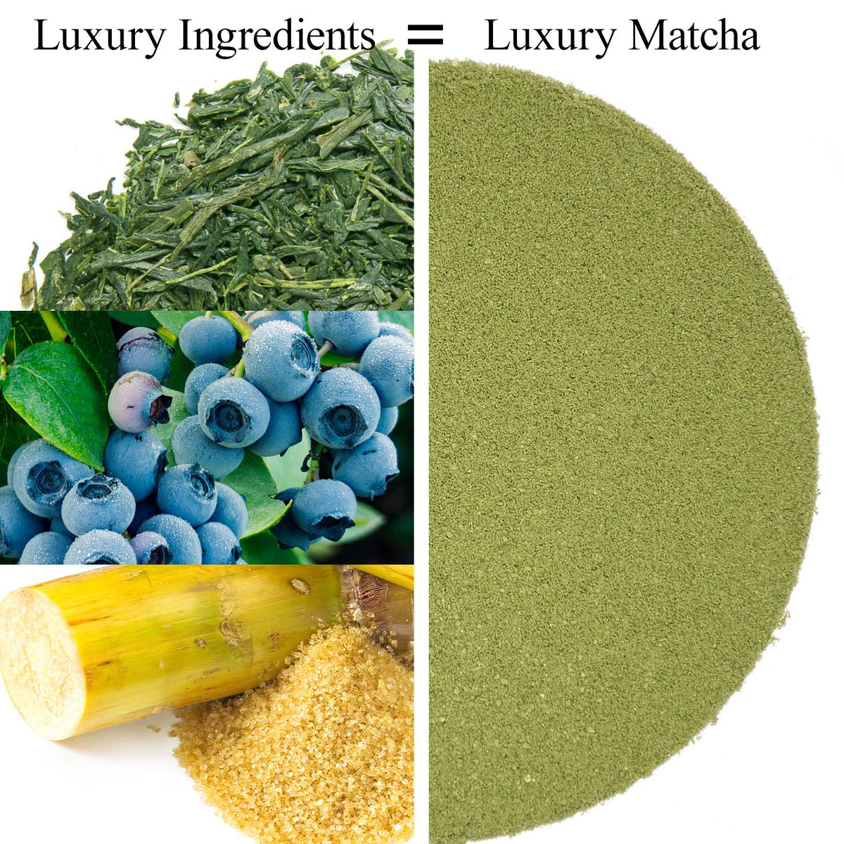 Metropolitan Tea Sweet Wild Blueberry Matcha Tea 0.44 lbs