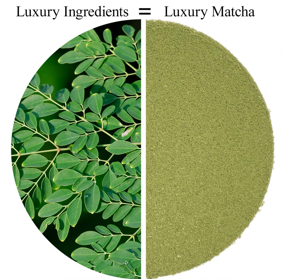 Metropolitan Tea Organic Moringa Powder Loose Leaf Tea 0.44 lbs