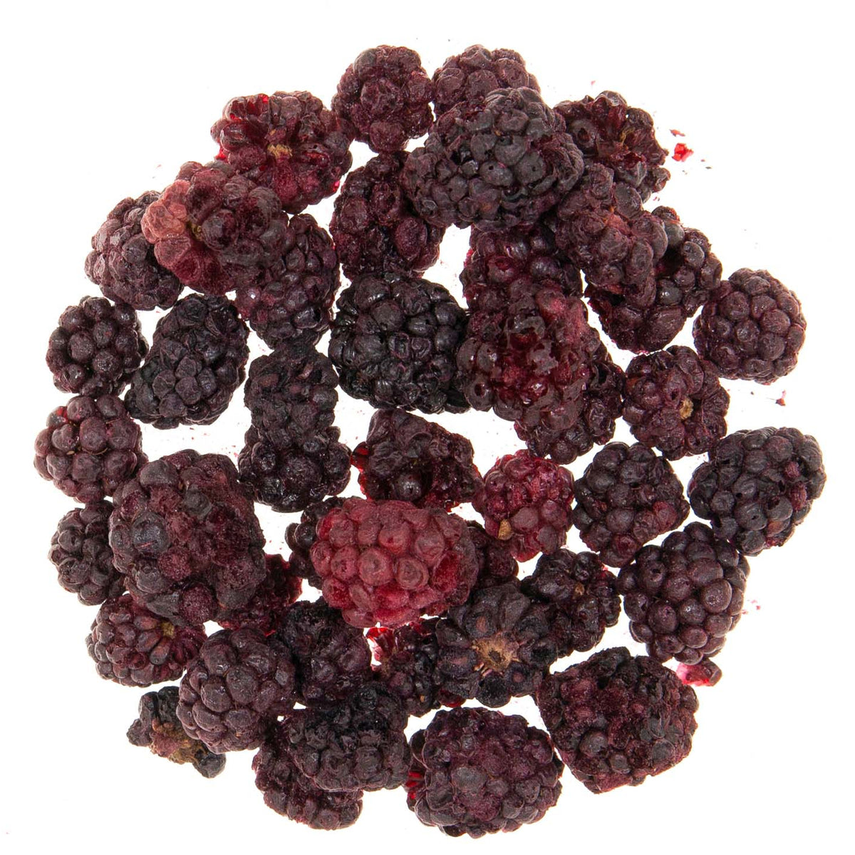 Metropolitan Tea Organic Freeze Dried Blackberry Loose Leaf Tea 0.27 lbs