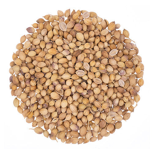 Metropolitan Tea Organic Coriander Seeds (Whole) Loose Leaf Tea 1.1 lbs