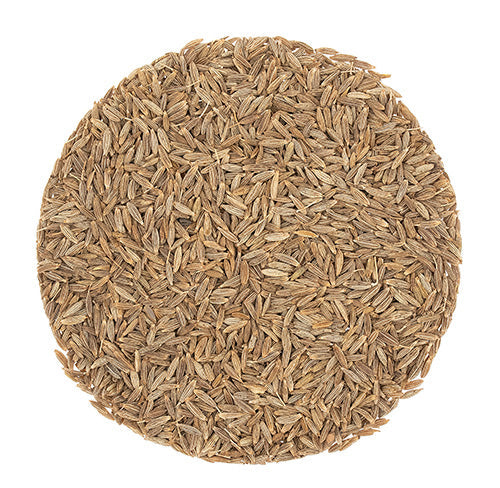 Metropolitan Tea Organic Cumin Seeds (Whole) Loose Leaf Tea 1.1 lbs
