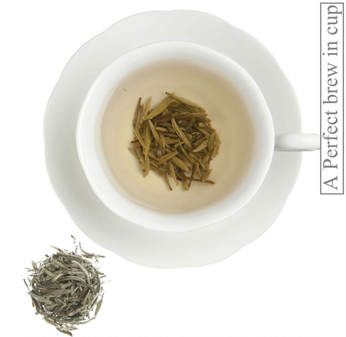 Metropolitan Tea Organic Silver Swallow White Loose Leaf Tea 1.1 lbs