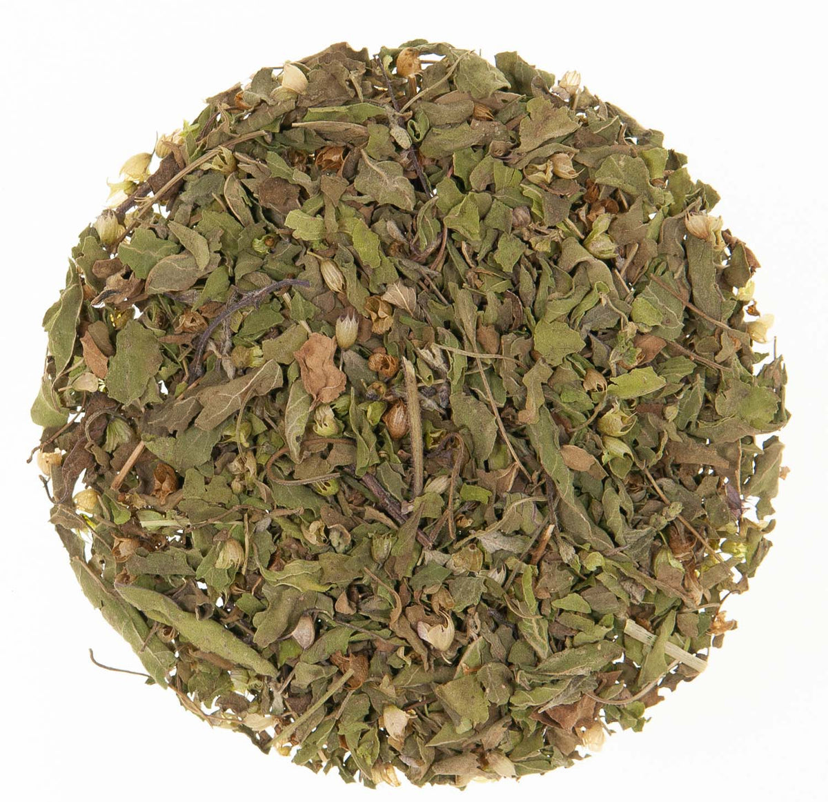 Metropolitan Tea Organic Tulsi Rama Leaves Loose Leaf Tea 0.55 lbs