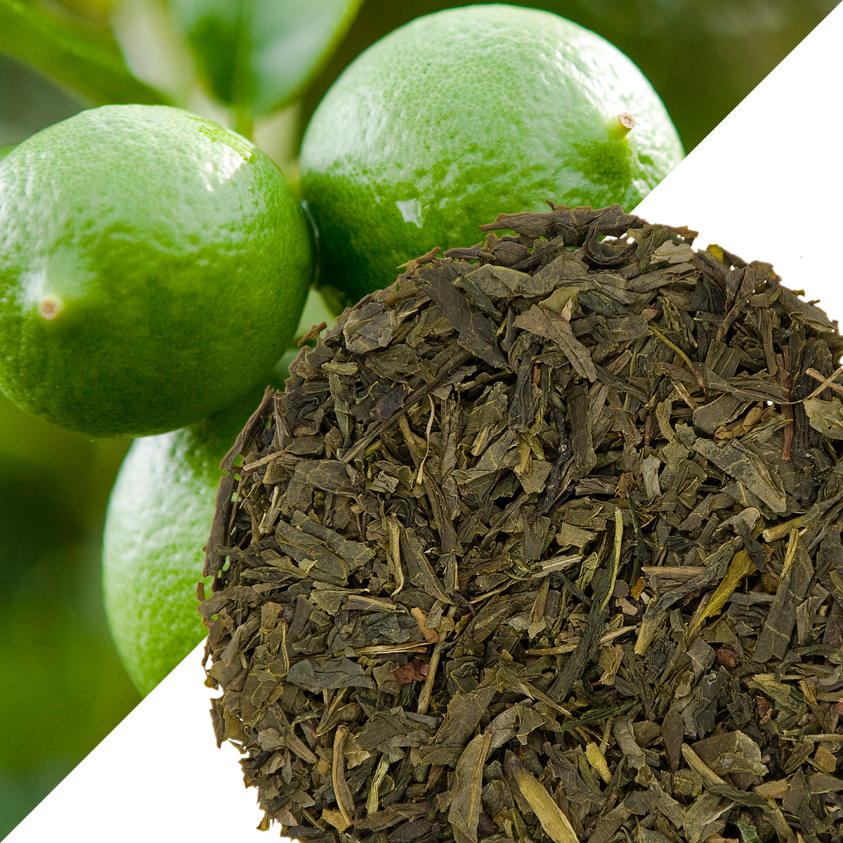 Metropolitan Tea Atlantico Lime (StripTeas) Flavored Green Loose Leaf Tea 35.2 lbs