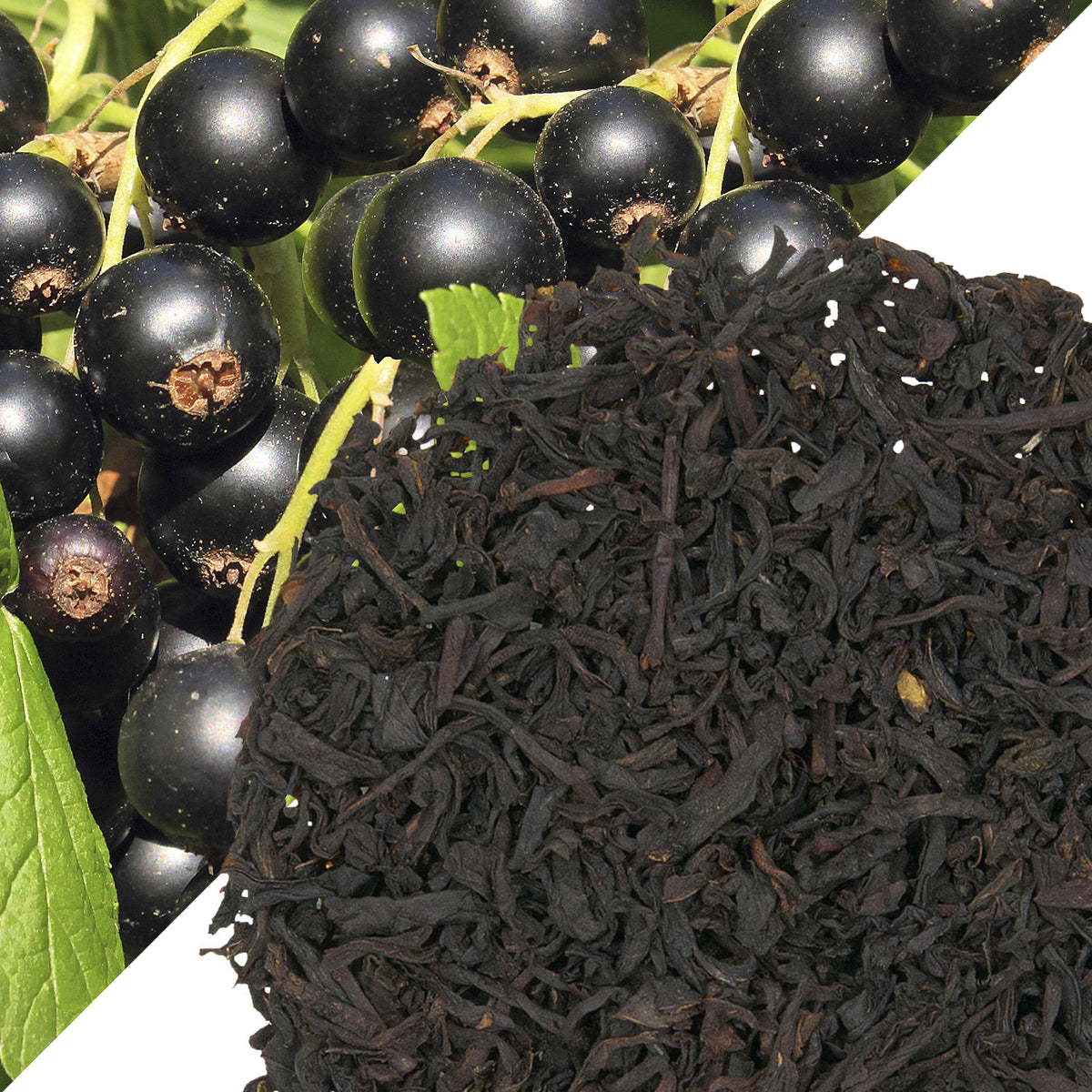 Metropolitan Tea Black Currant (StripTeas) Flavored Black Loose Leaf Tea 35.2 lbs