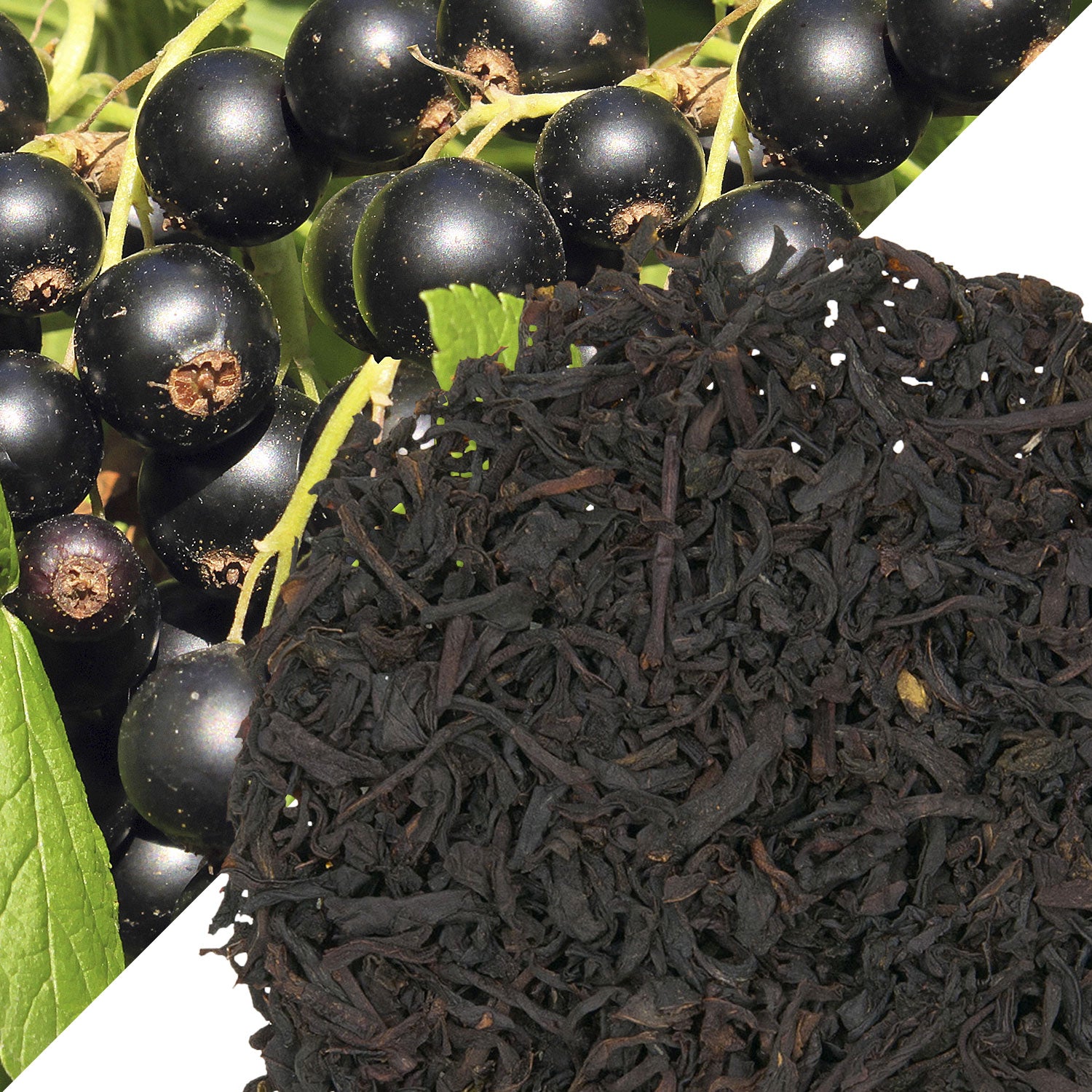 Metropolitan Tea Black Currant (StripTeas) Flavored Black Loose Leaf Tea 35.2 lbs