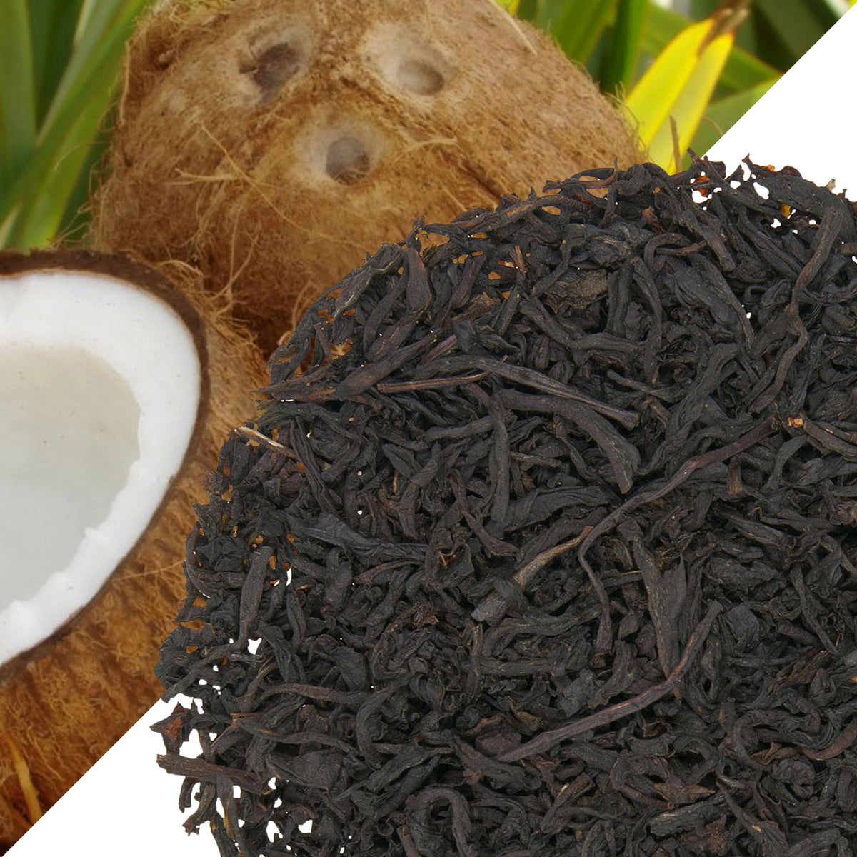 Metropolitan Tea Island Coconut (StripTeas) Flavored Black Loose Leaf Tea 35.2 lbs
