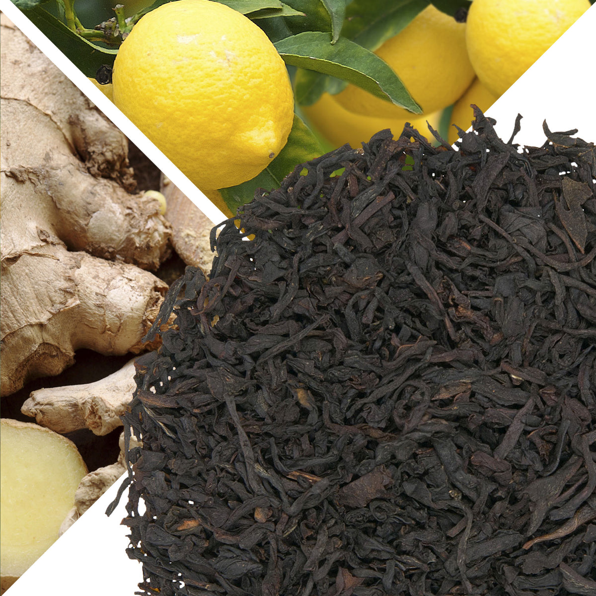 Metropolitan Tea Lemon Ginger (StripTeas) Flavored Black Loose Leaf Tea 35.2 lbs