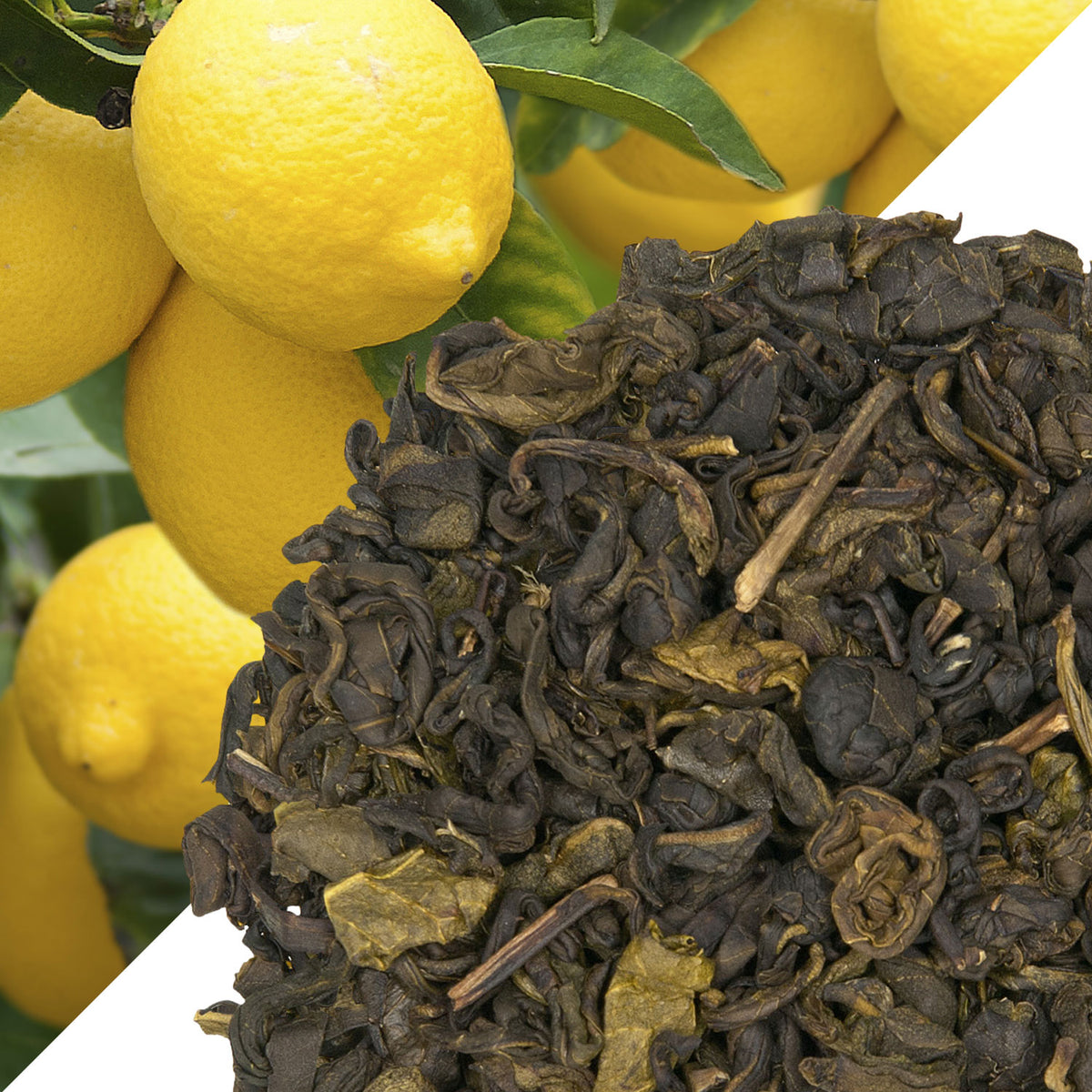 Metropolitan Tea Lemon Green (StripTeas) Flavored Green Loose Leaf Tea 35.2 lbs