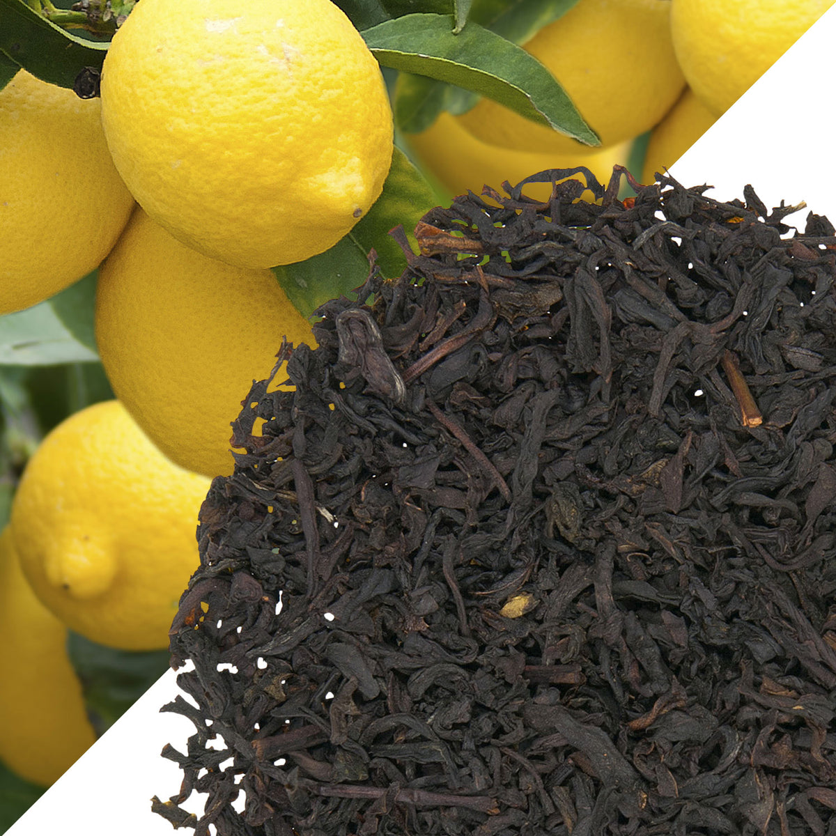 Metropolitan Tea Lemon (StripTeas) Flavored Black Loose Leaf Tea 35.2 lbs