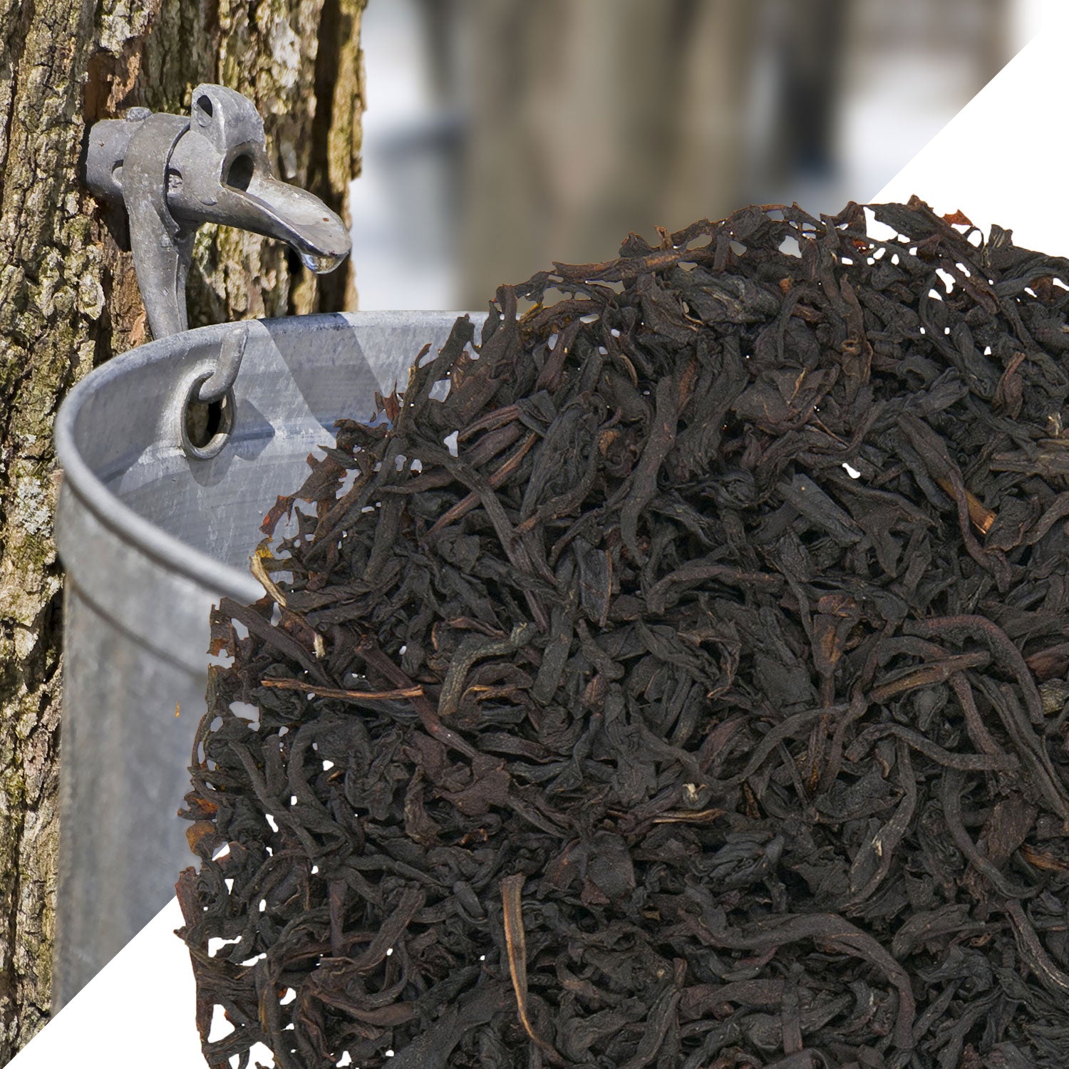 Metropolitan Tea Maple (StripTeas) Flavored Black Loose Leaf Tea 35.2 lbs