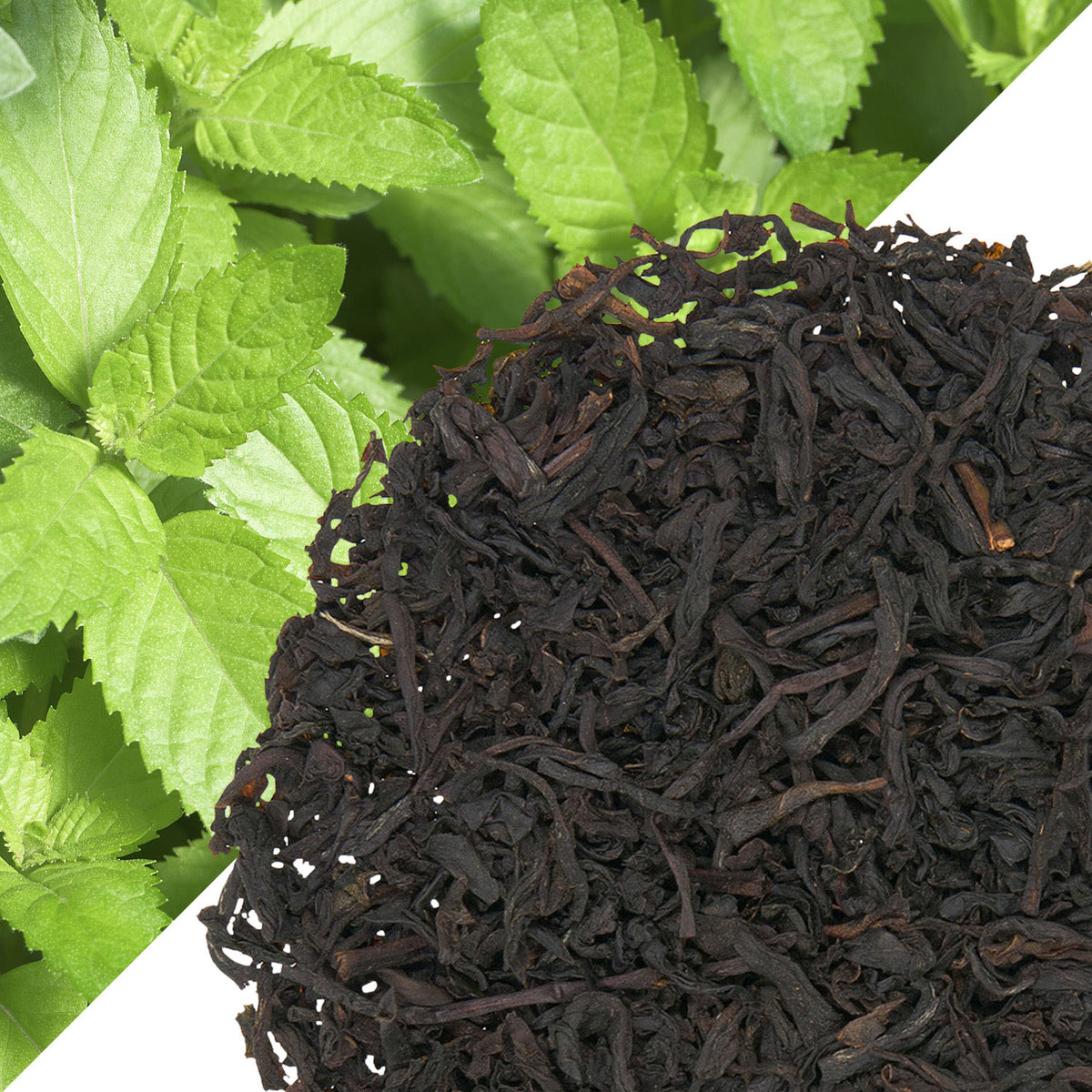 Metropolitan Tea Mint (StripTeas) Flavored Black Loose Leaf Tea 35.2 lbs