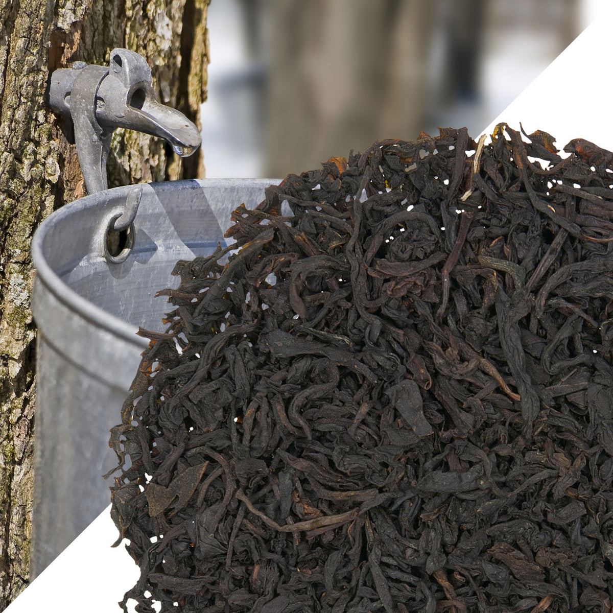 Metropolitan Tea Organic Maple (StripTeas) Loose Leaf Tea 35.2 lbs