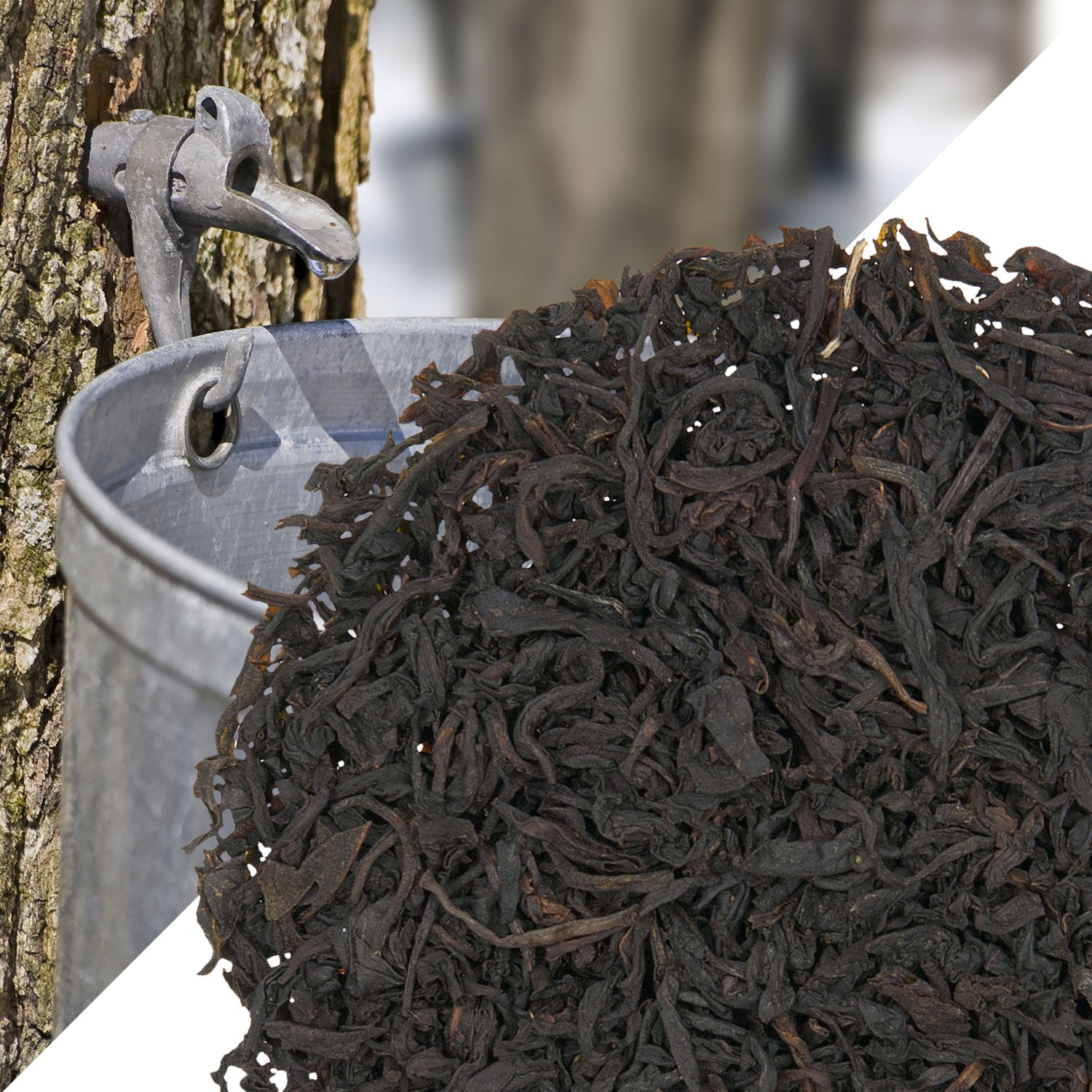 Metropolitan Tea Organic Maple (StripTeas) Loose Leaf Tea 35.2 lbs