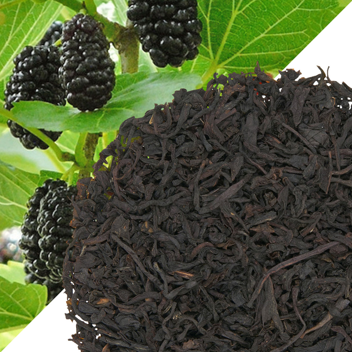 Metropolitan Tea Wild Blackberry (StripTeas) Flavored Black Loose Leaf Tea 35.2 lbs