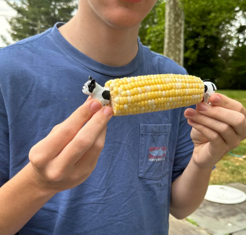 Outset Frenchie Corn Holders – Set of 8