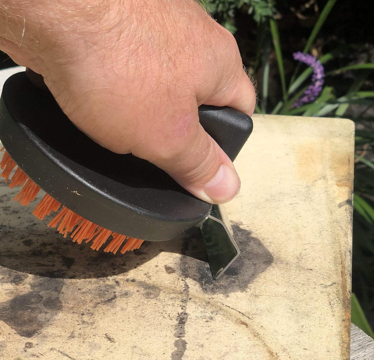 Outset Nylon Cleaning Brush with Scraper for Salt Block / Stone
