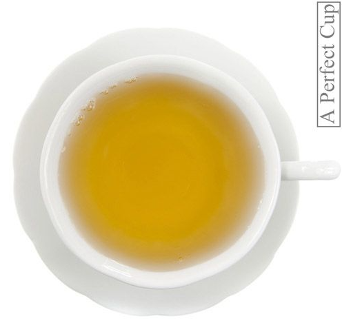 Metropolitan Tea Focus Pocus Tea Pyramid Teabags (300)