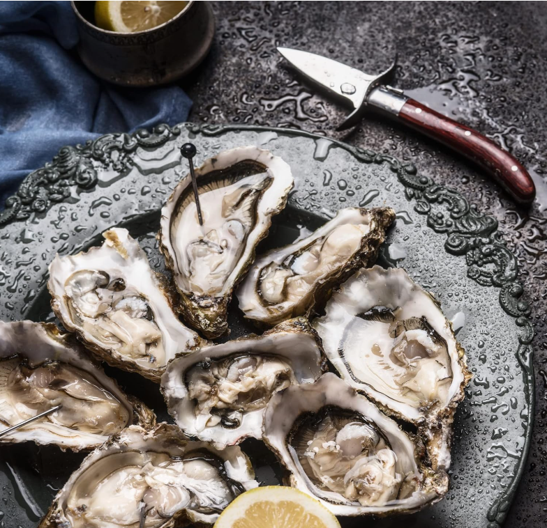 Outset Oyster Knife – Stainless Steel with Pakka Wood Handle