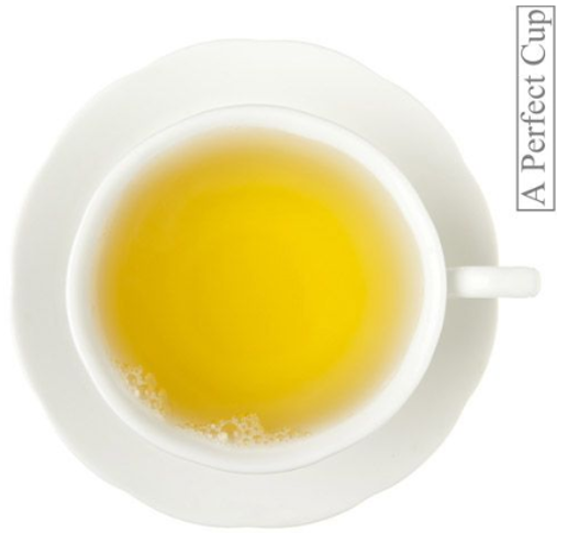 Metropolitan Tea St. James Strawberry Loose Leaf Oolong Tea 1.1 lbs