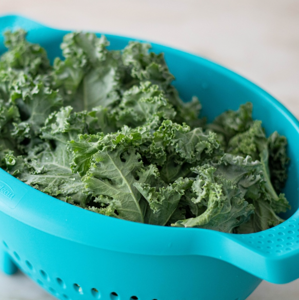 Trudeau Colander – Large – Tropical Trudeau by Kitchen Niche