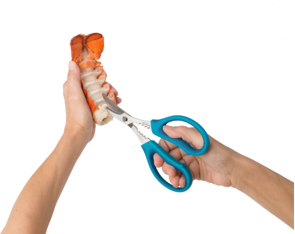 Trudeau Seafood Shears – Blue Trudeau by Kitchen Niche