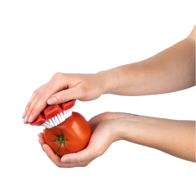 Cuisipro Vegetable Cleaning Brush – Soft Bristles – 3.5" / 8.6 cm – Red Cuisipro by Kitchen Niche