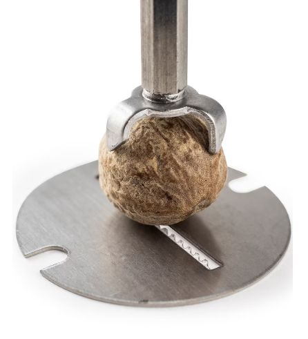 Peugeot Madras Nutmeg Mill by Kitchen Niche