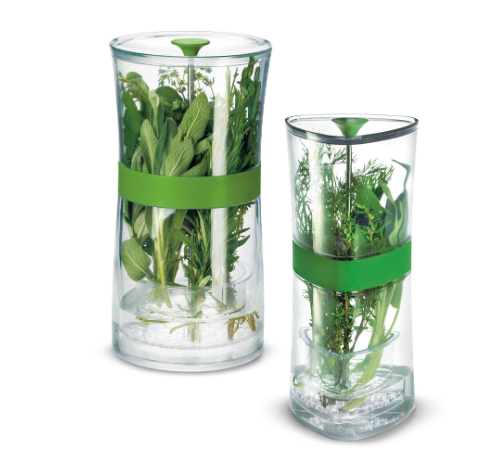 Cuisipro Herb Keeper – 9.5" x 4.75" / 24 x 12 cm – Green Cuisipro by Kitchen Niche