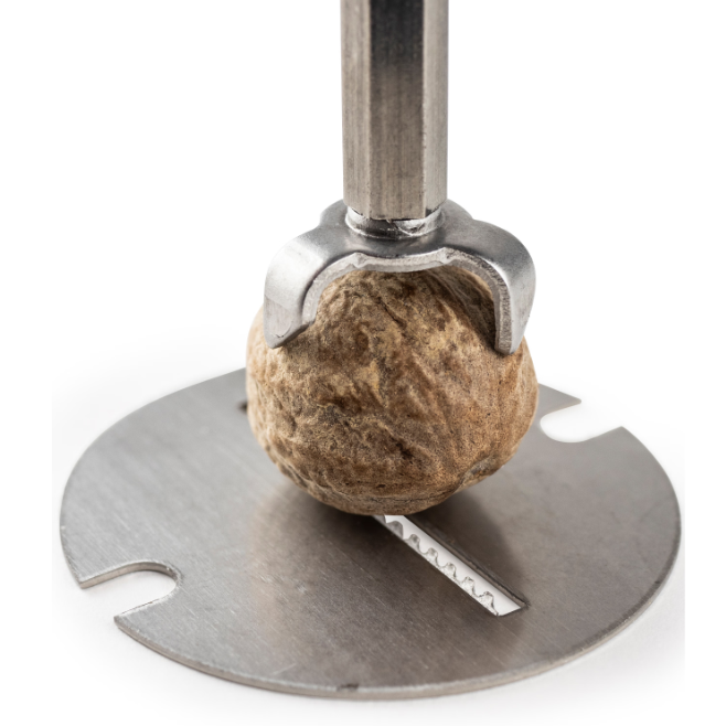 Peugeot Tidore Nutmeg Mill by Kitchen Niche