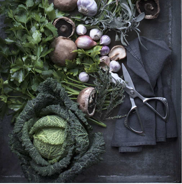 Global Kitchen Shears 21cm / 8.5" Global by Kitchen Niche