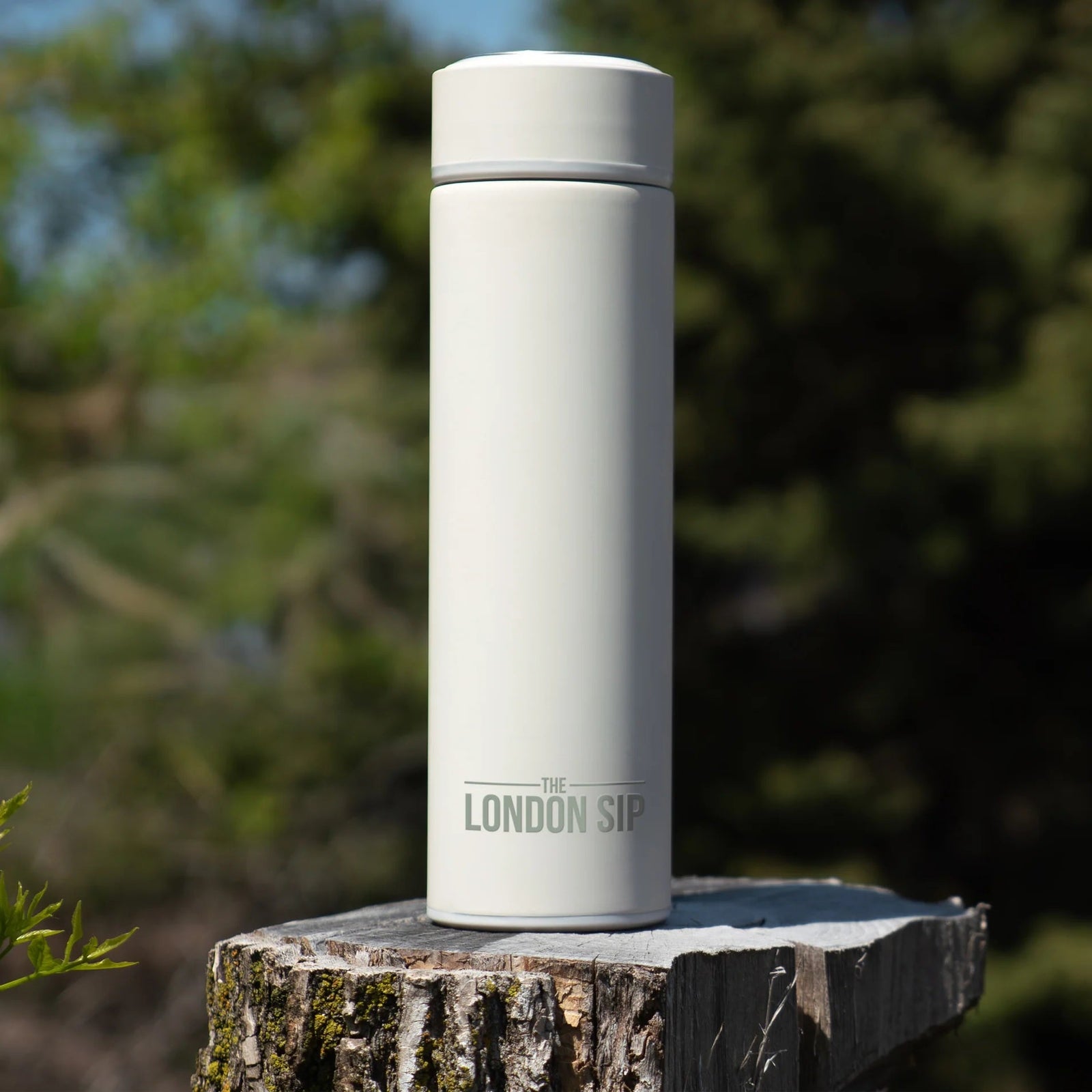 London Sip Tea Infuser Bottle 16 oz / 500 ml London Sip by Kitchen Niche