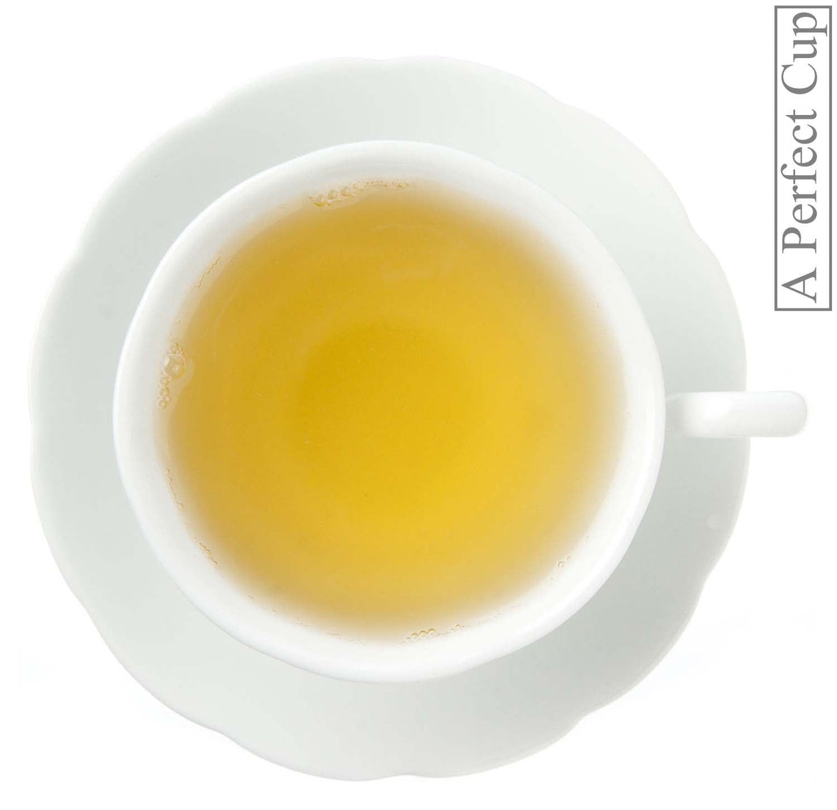 Metropolitan Tea Wellness Energy Botanical Blend Loose Leaf Tea 1.1 lbs