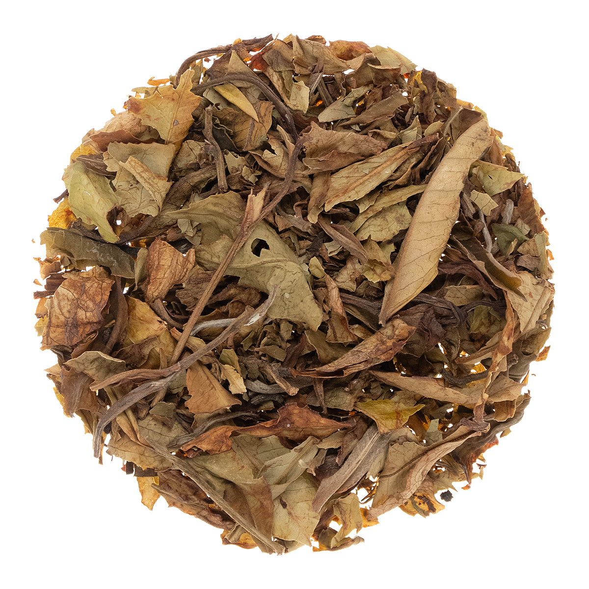 Metropolitan Tea Kenya Nandi Safari Loose Leaf White Tea 0.55 lbs