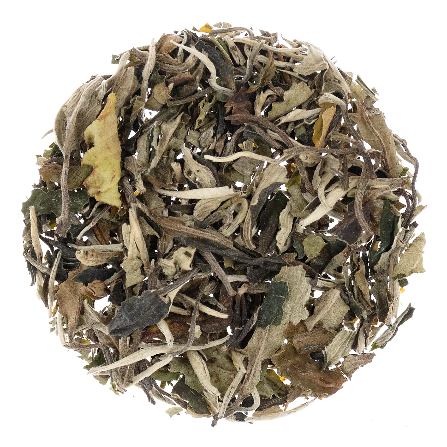 Metropolitan Tea Pai Mu Tan Loose Leaf White Tea 1.1 lbs