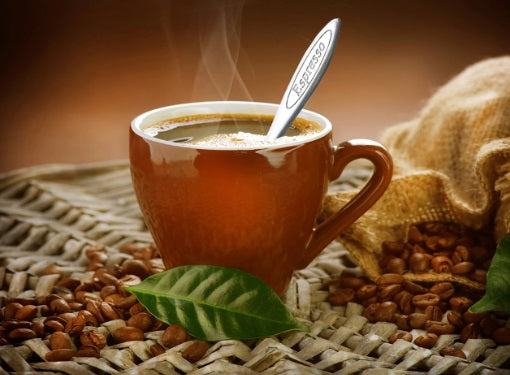 Cuisinox Cafe Engraved Stainless Steel Espresso Spoon by Kitchen Niche