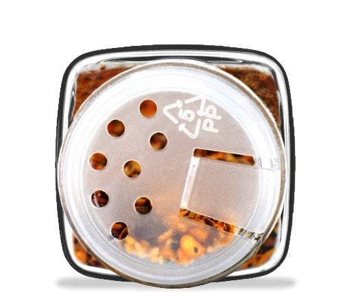 Danesco Spice Jar Set of 12 with Labels by Kitchen Niche