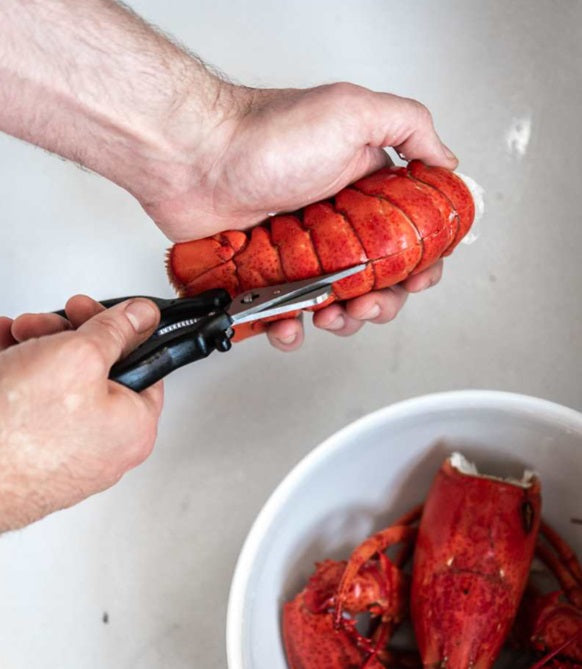 DeBuyer Seafood Shears with Stainless Steel Blades De Buyer by Kitchen Niche