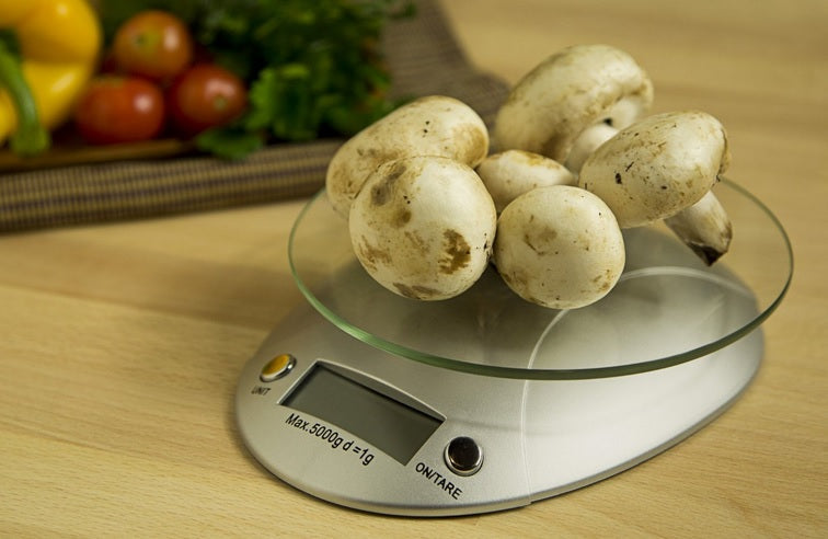 Fox Run Digital Kitchen Scale by Kitchen Niche