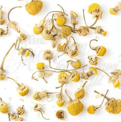 Metropolitan Tea Company Loose Egyptian Camomile Herbal Tea by Kitchen Niche