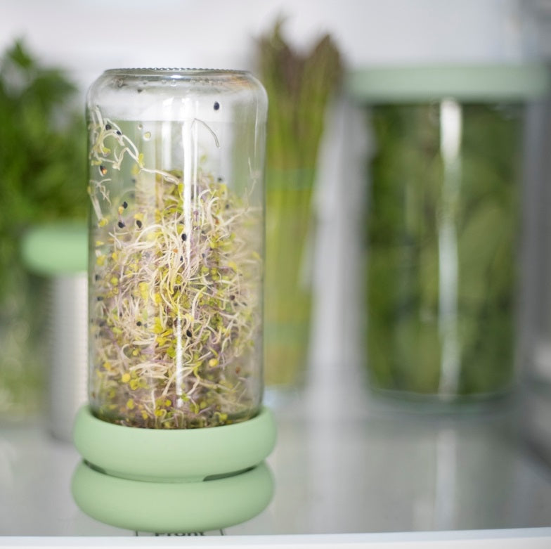 Food Huggers Silicone Sprout Huggers by Kitchen Niche